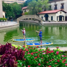 a building with a purple flower