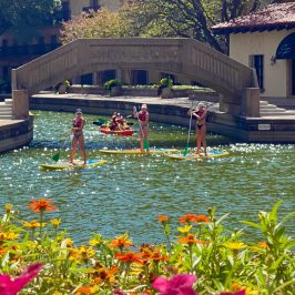 a group of people in a garden with water in the background