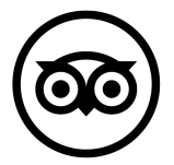 shape, circle