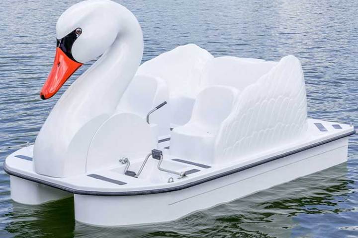 a swan swimming in a body of water